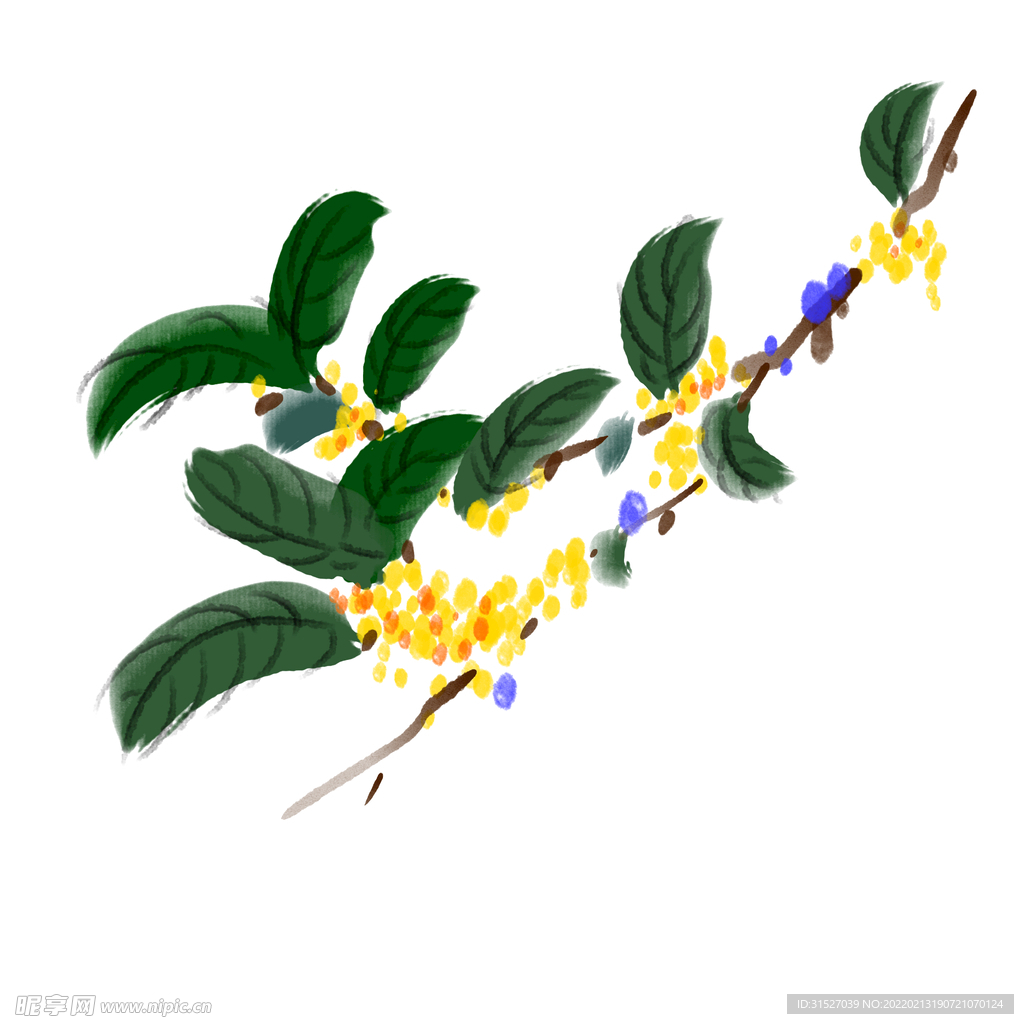 金色桂花