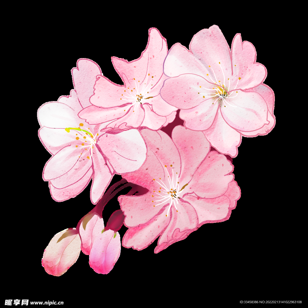 春天樱花装饰插画