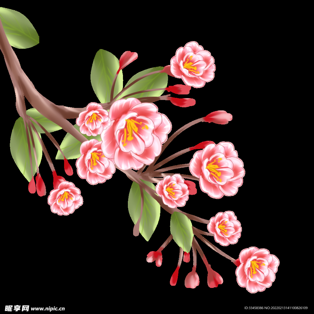 海棠花花枝