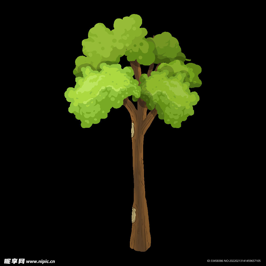 植树节春天小树苗