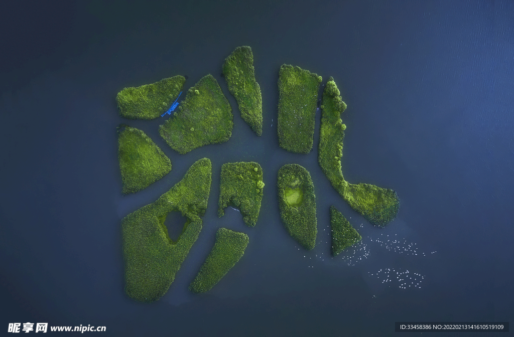 世界遗产黄海湿地