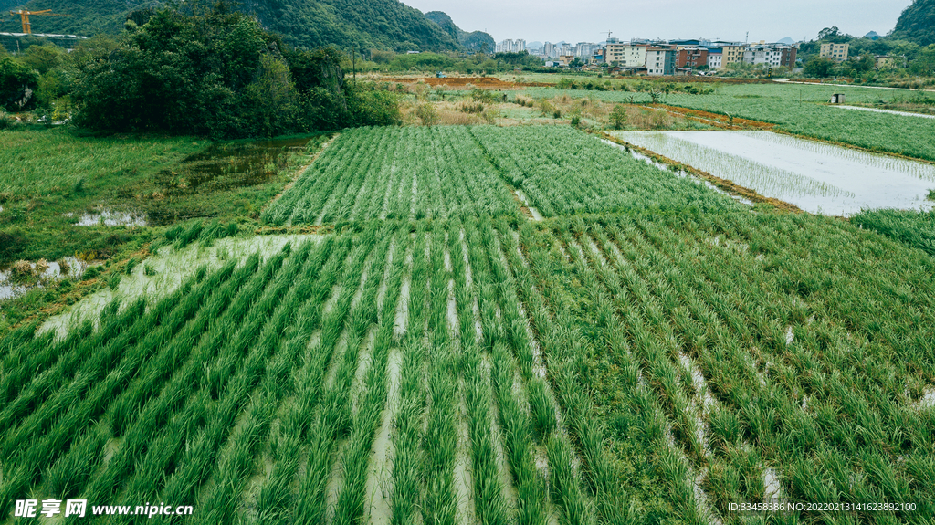 航拍春耕乡间农田