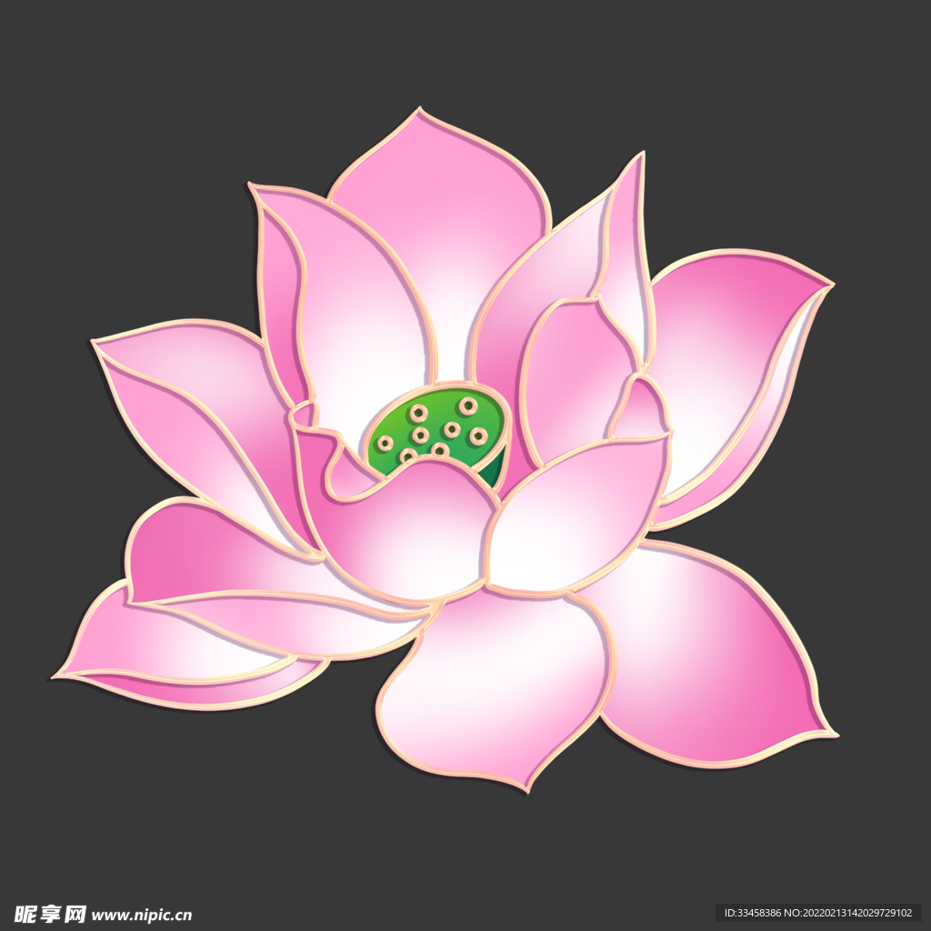 春季夏季荷花