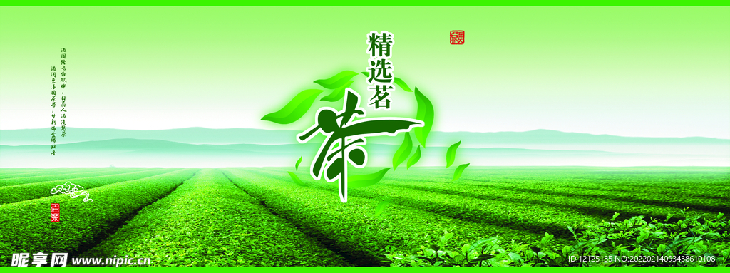 高清素材 茶叶 