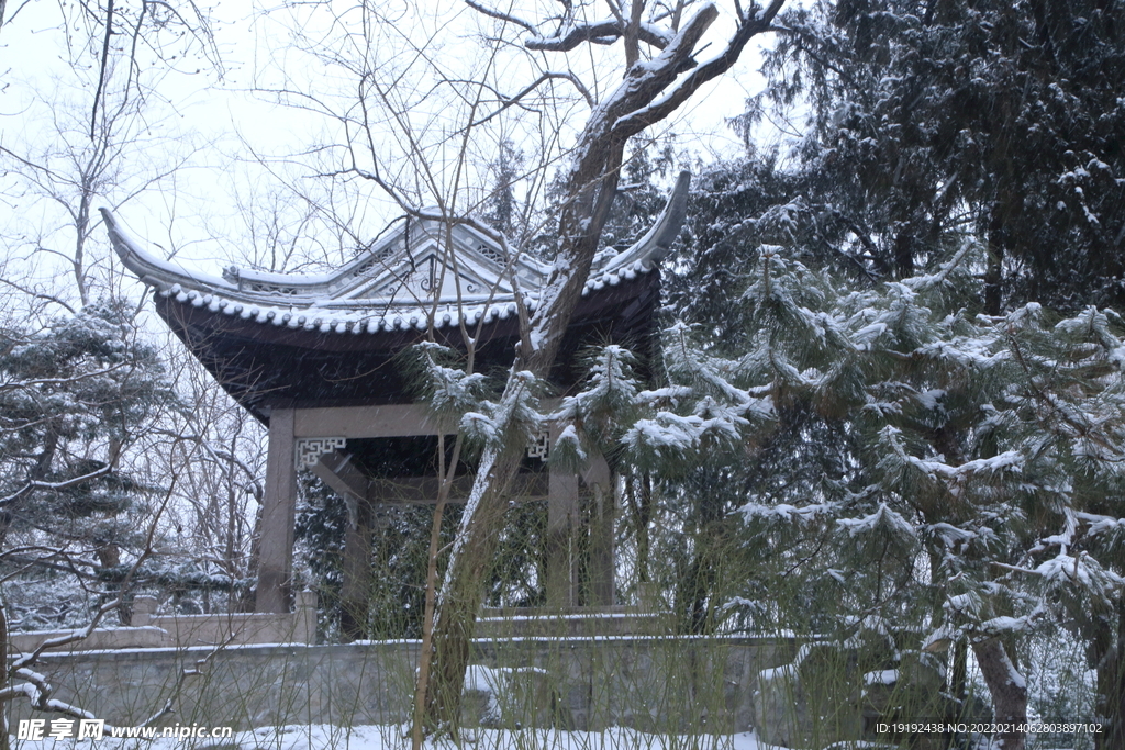 雪景