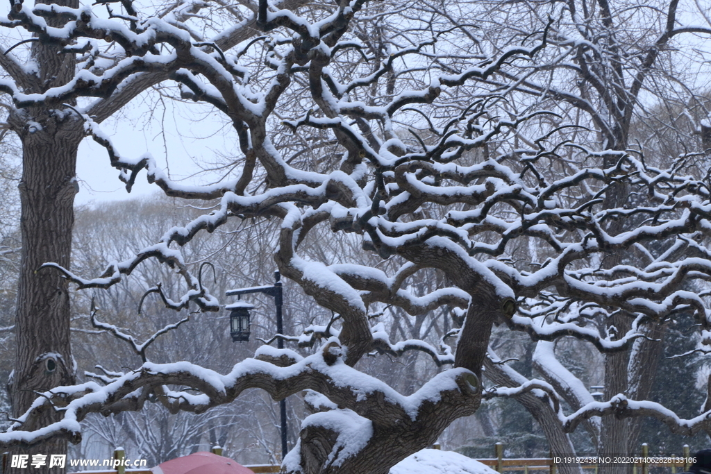 雪景 