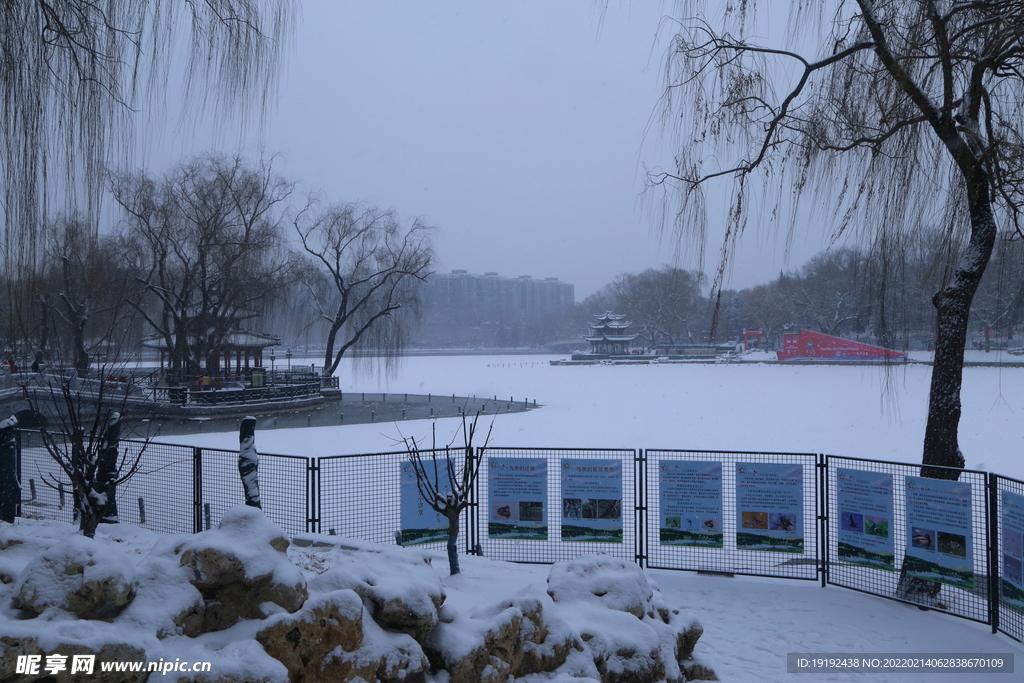 雪景 