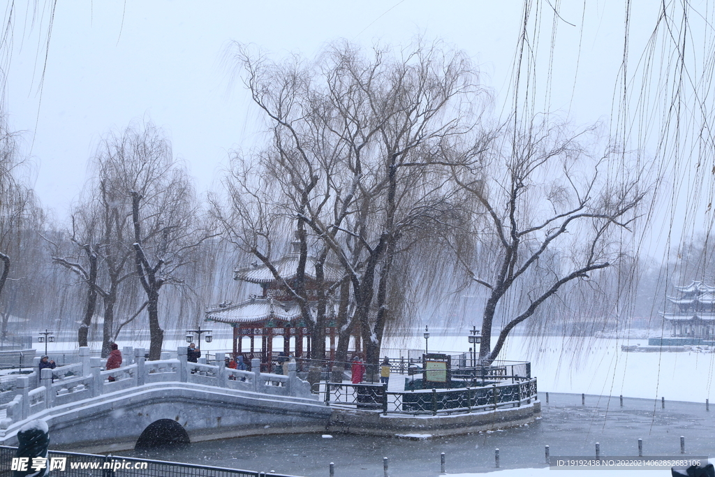 雪景