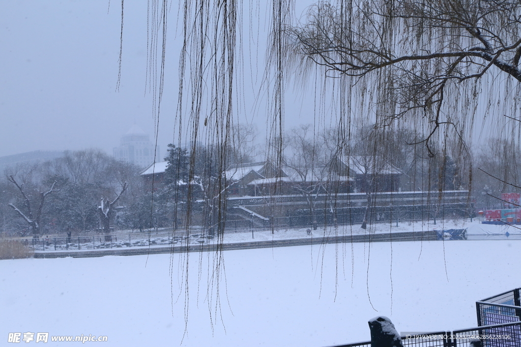 雪景 