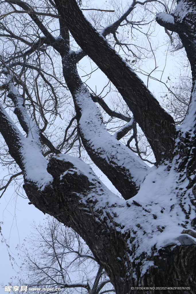 雪景 
