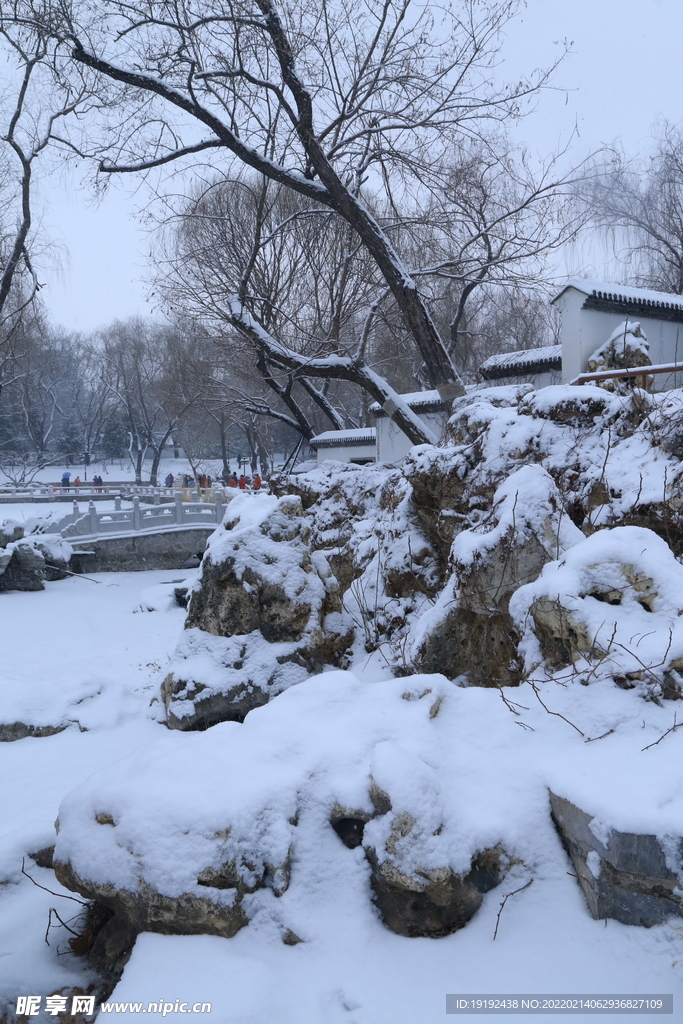 雪景