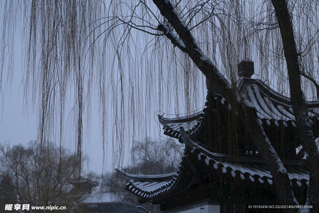 雪景 