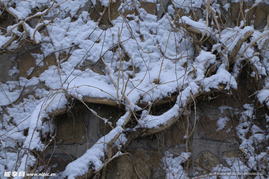 雪景 