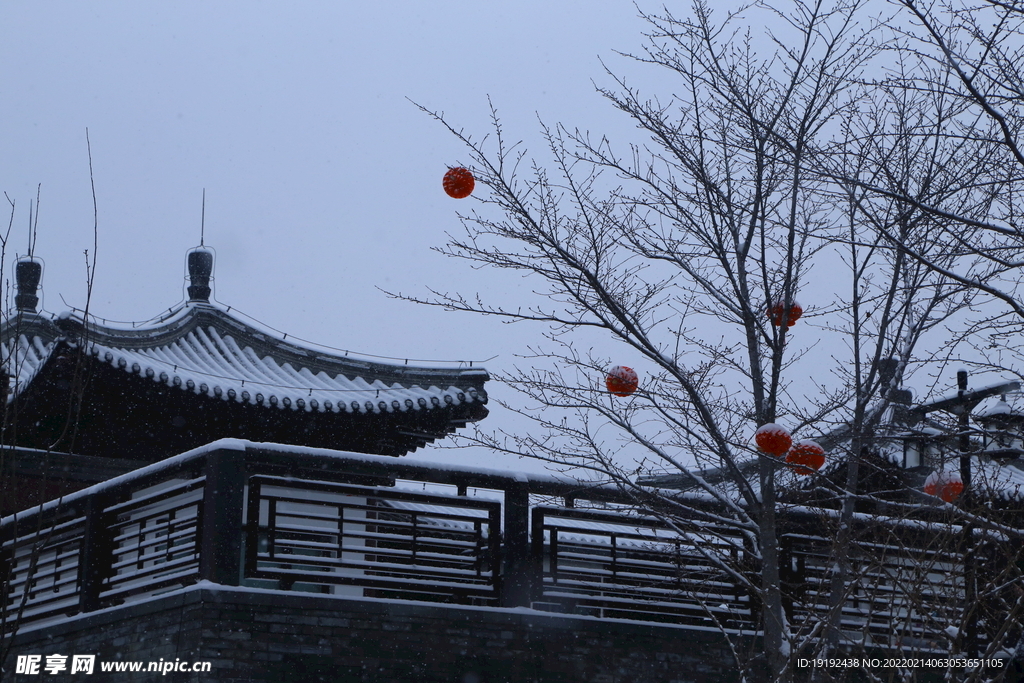 雪景