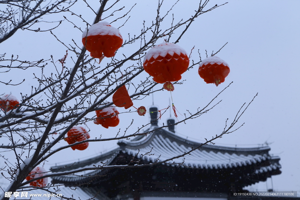 雪景