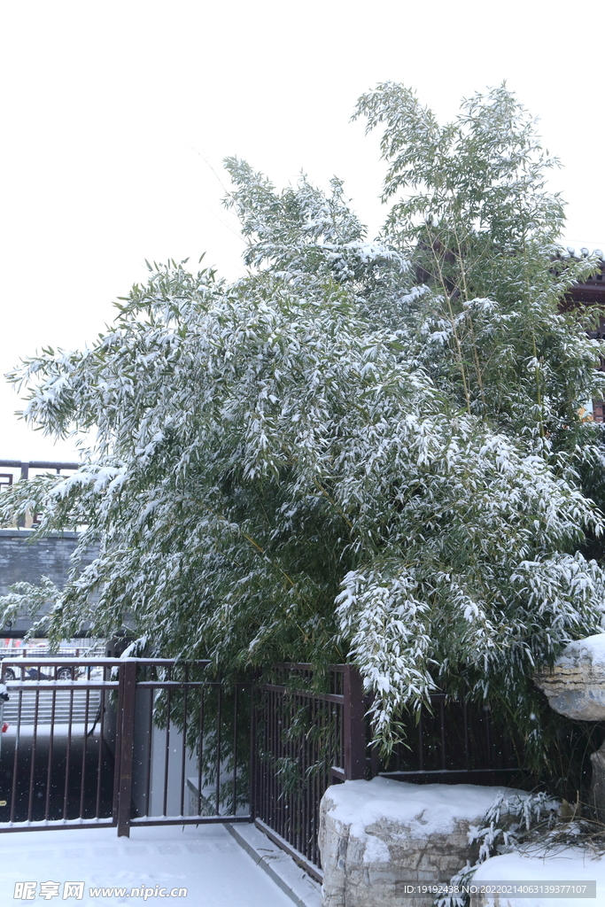 雪景