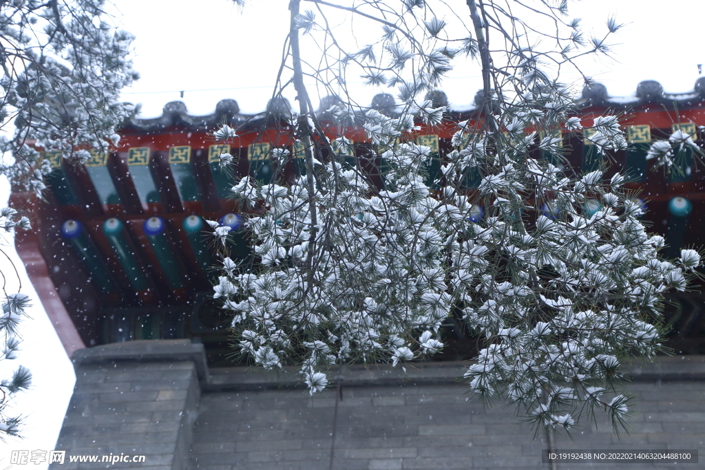 雪景 
