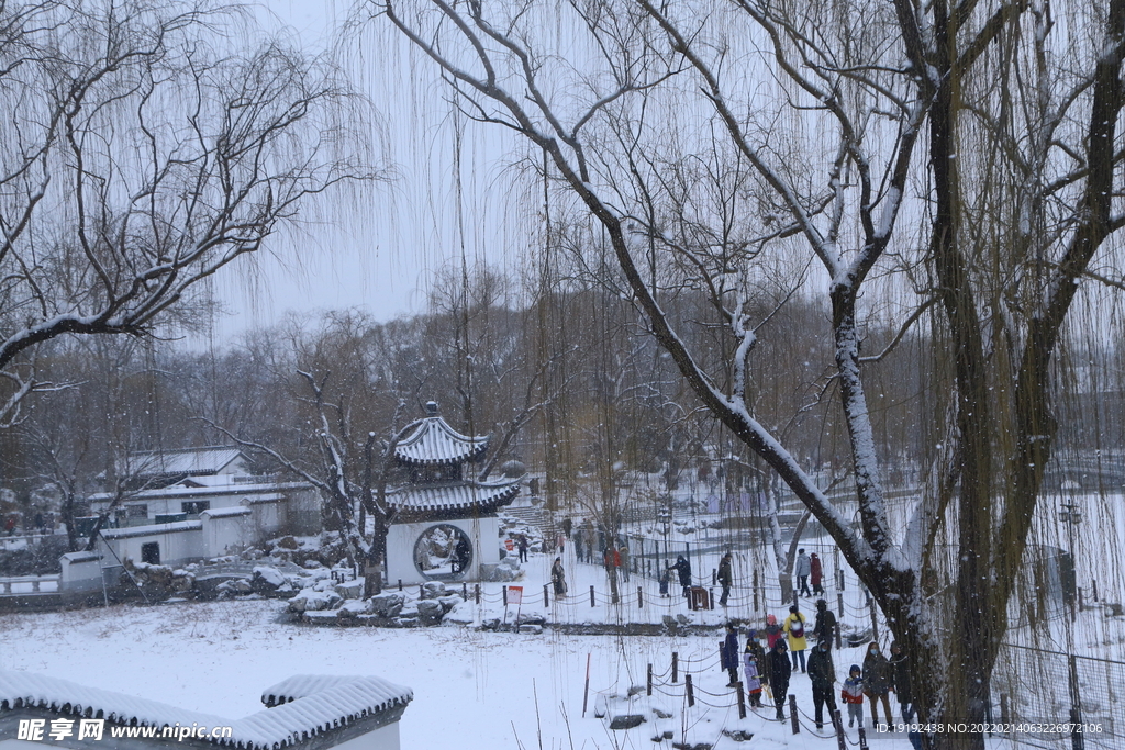 雪景