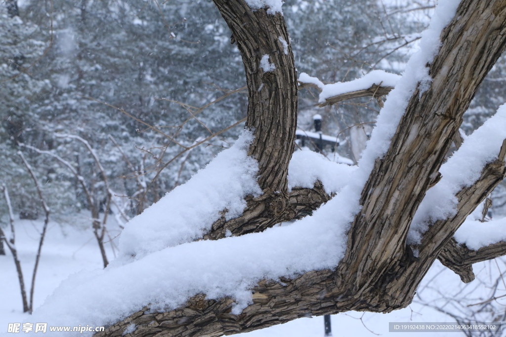 雪景 
