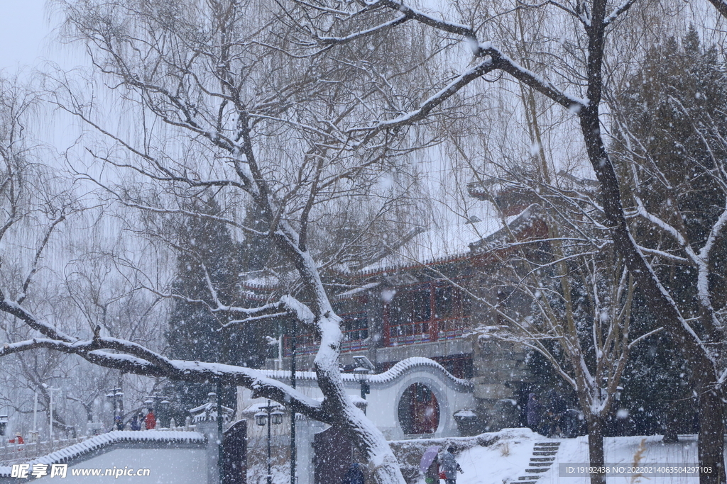 雪景 