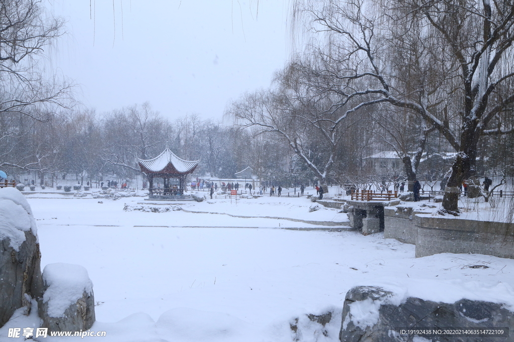 雪景