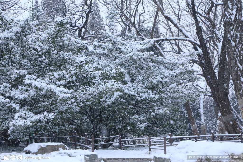 雪景 