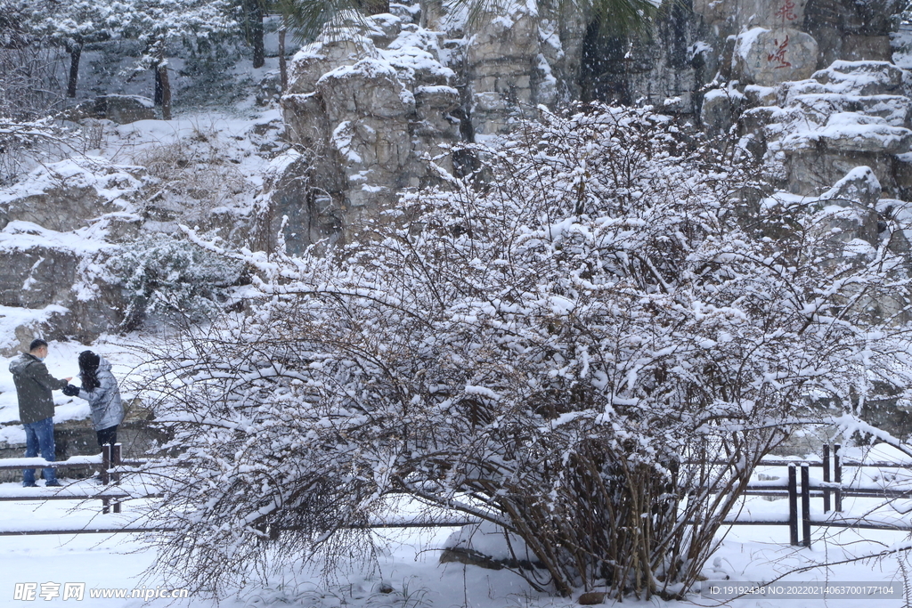 雪景