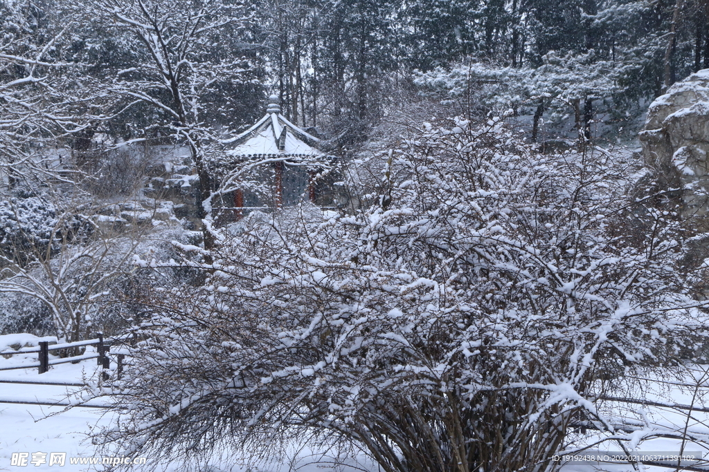 雪景 