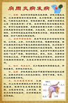 肩周炎病发病