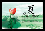 水墨夏天