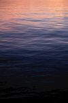 海