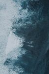 海