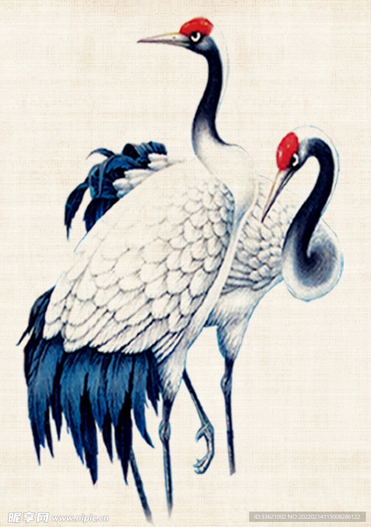仙鹤 