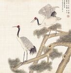 仙鹤  