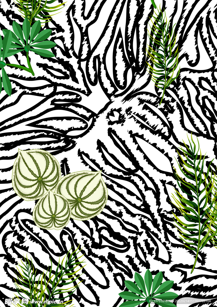 线条植物