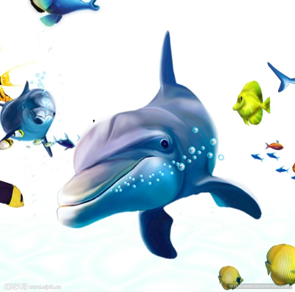 鲨鱼  海底世界