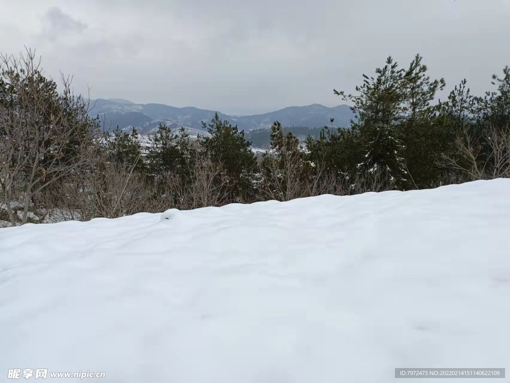 雪景