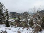 乡村雪景