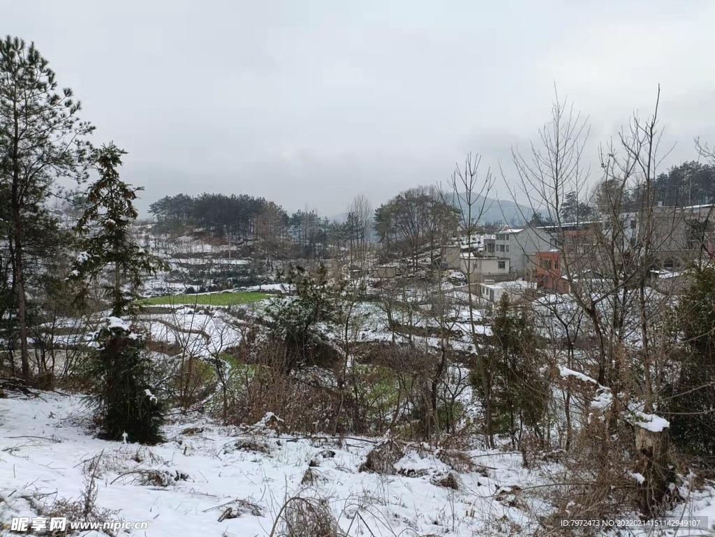 乡村雪景