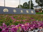 园林景观