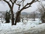 雪景