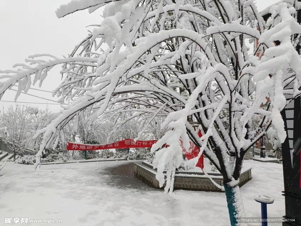 雪景