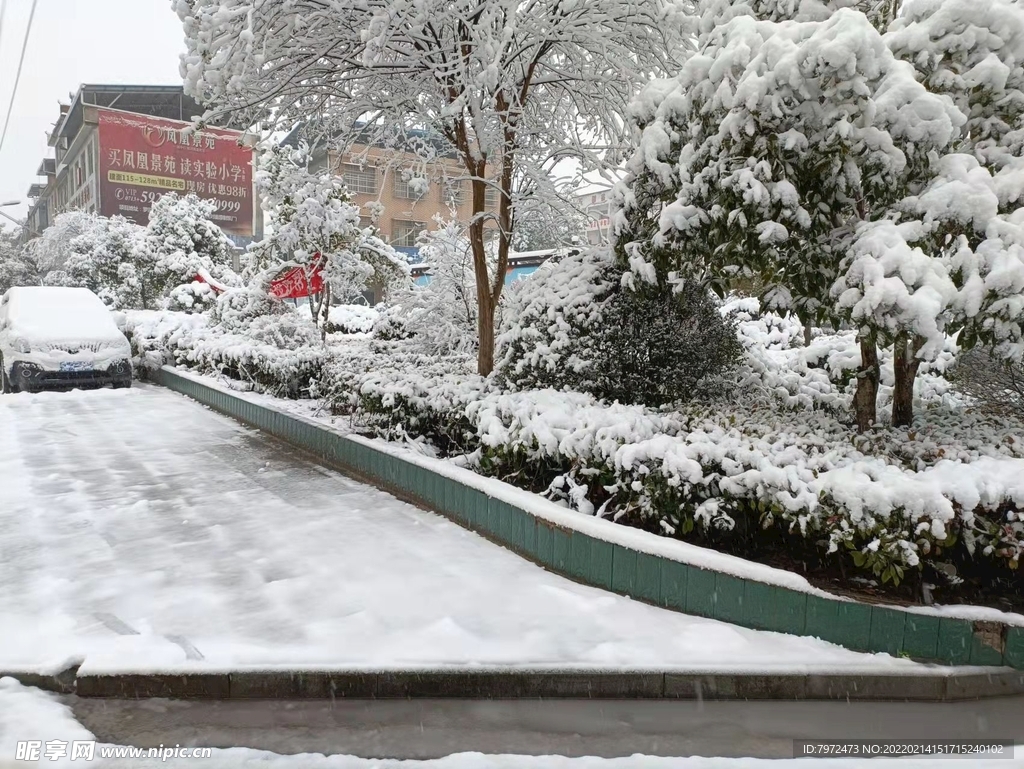 雪景