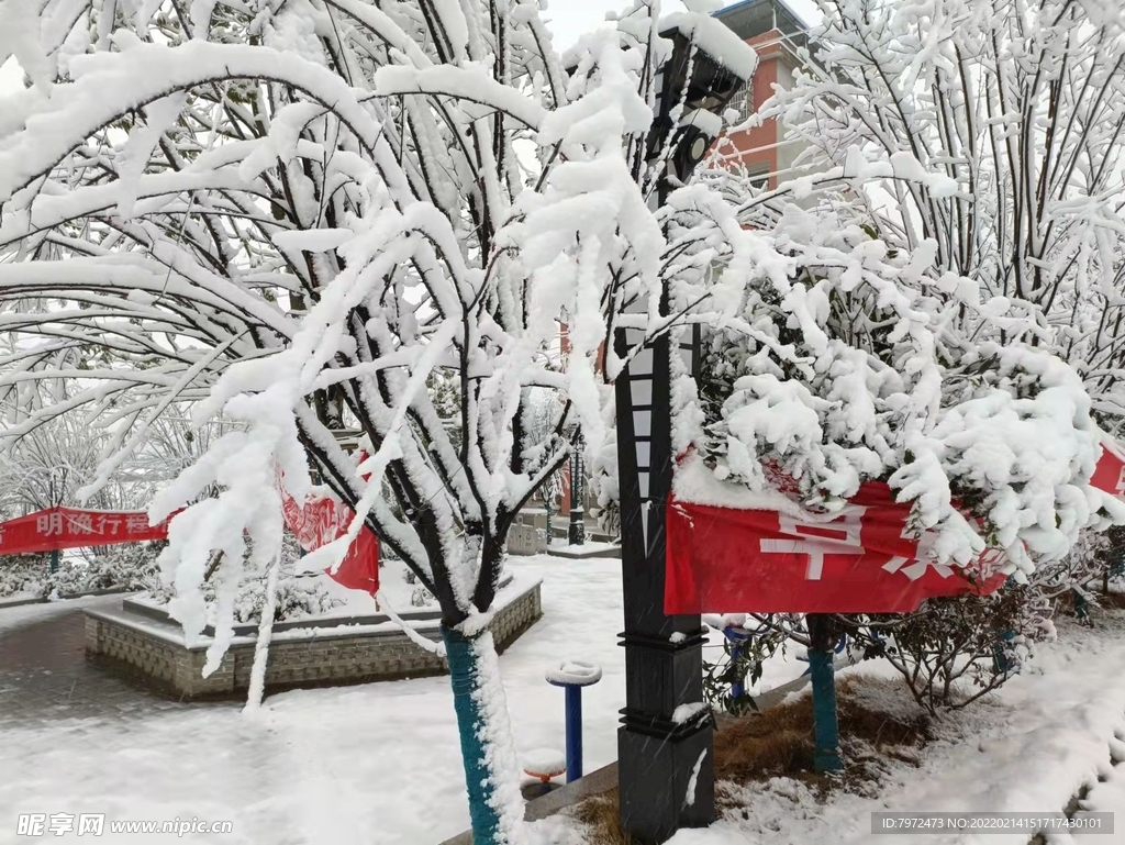 雪景