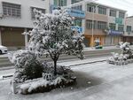 街道雪景