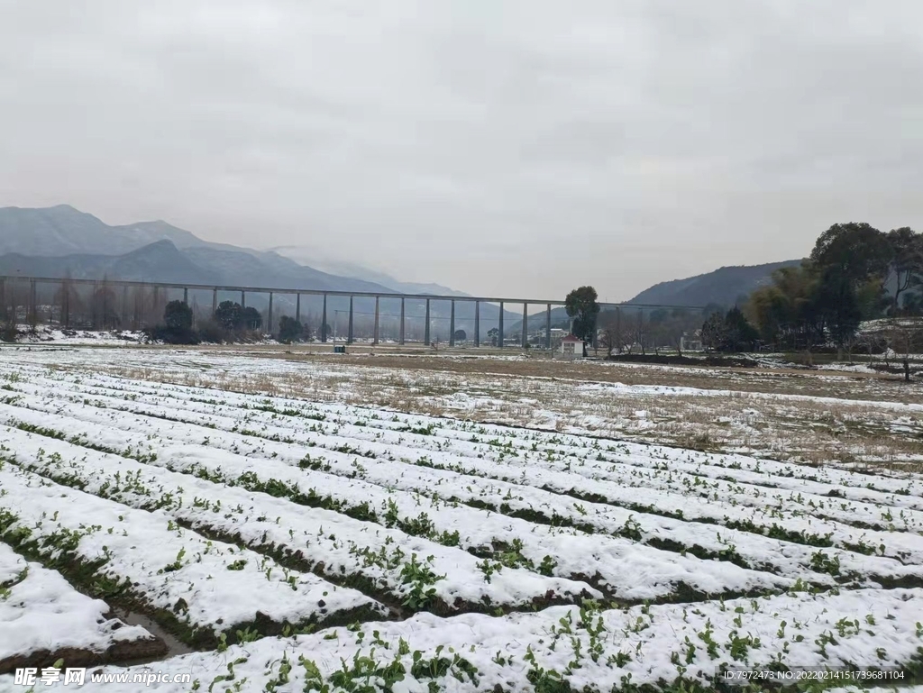 雪景