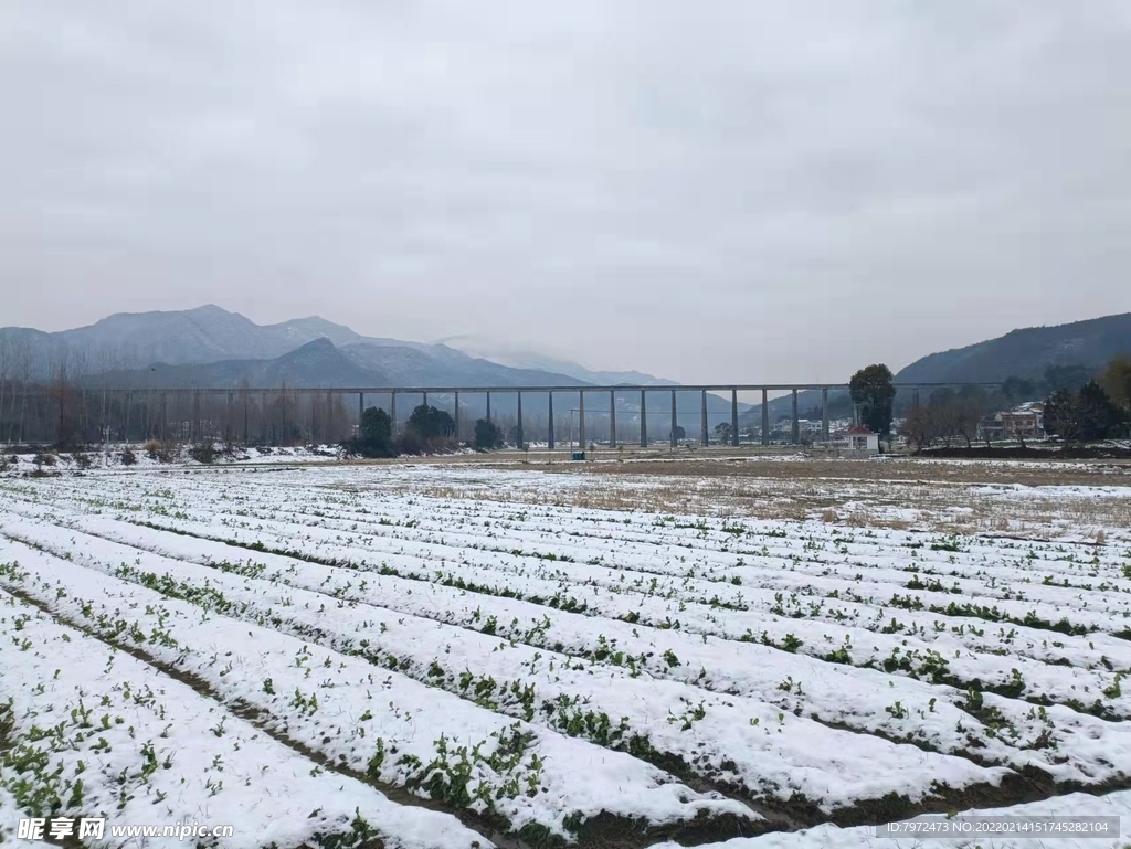 雪野