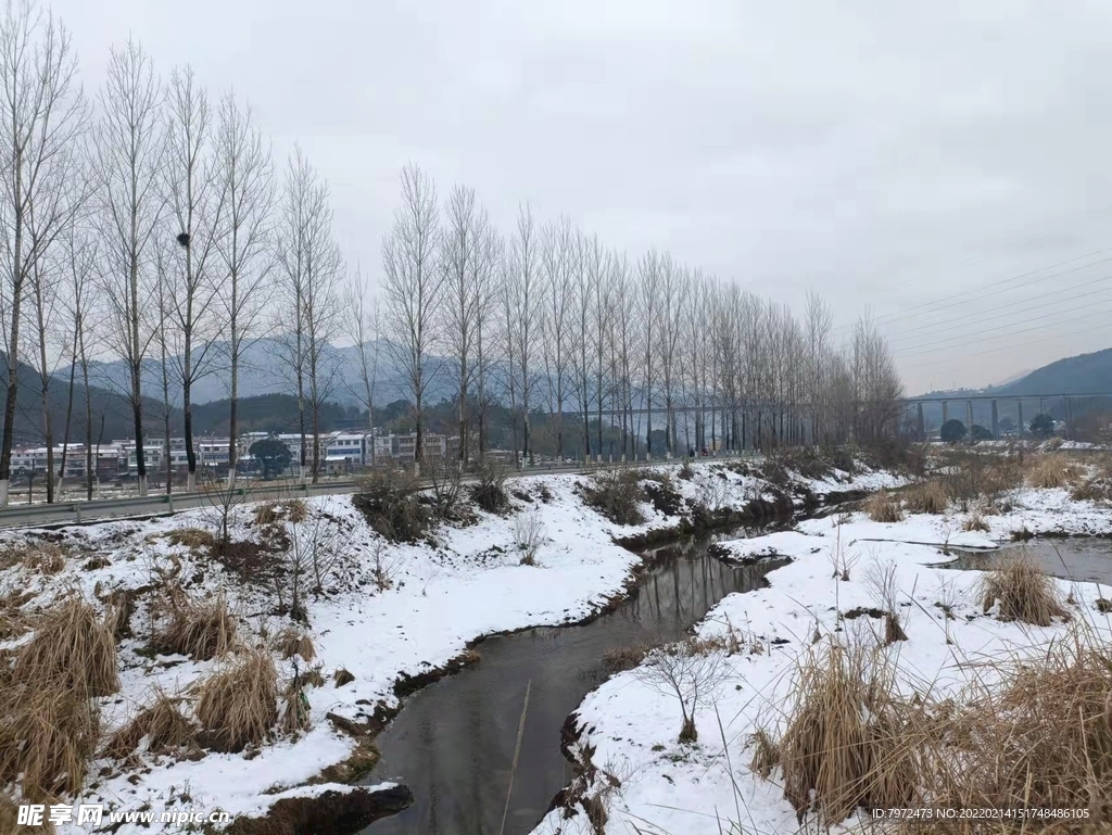 雪景