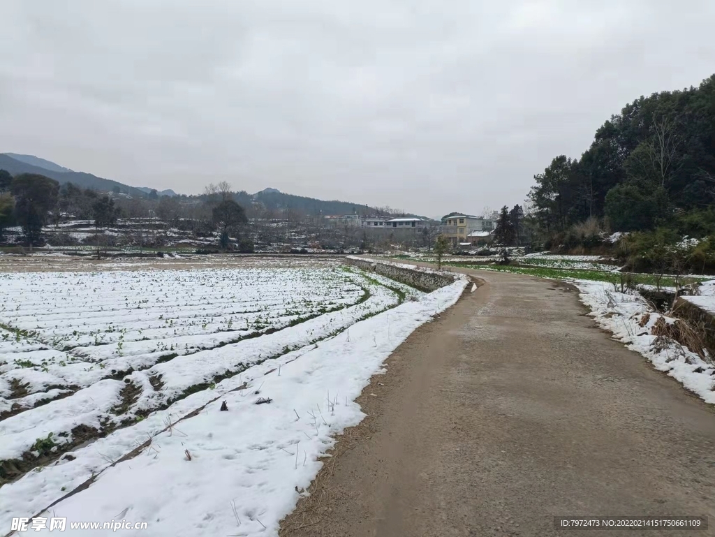 乡村雪景