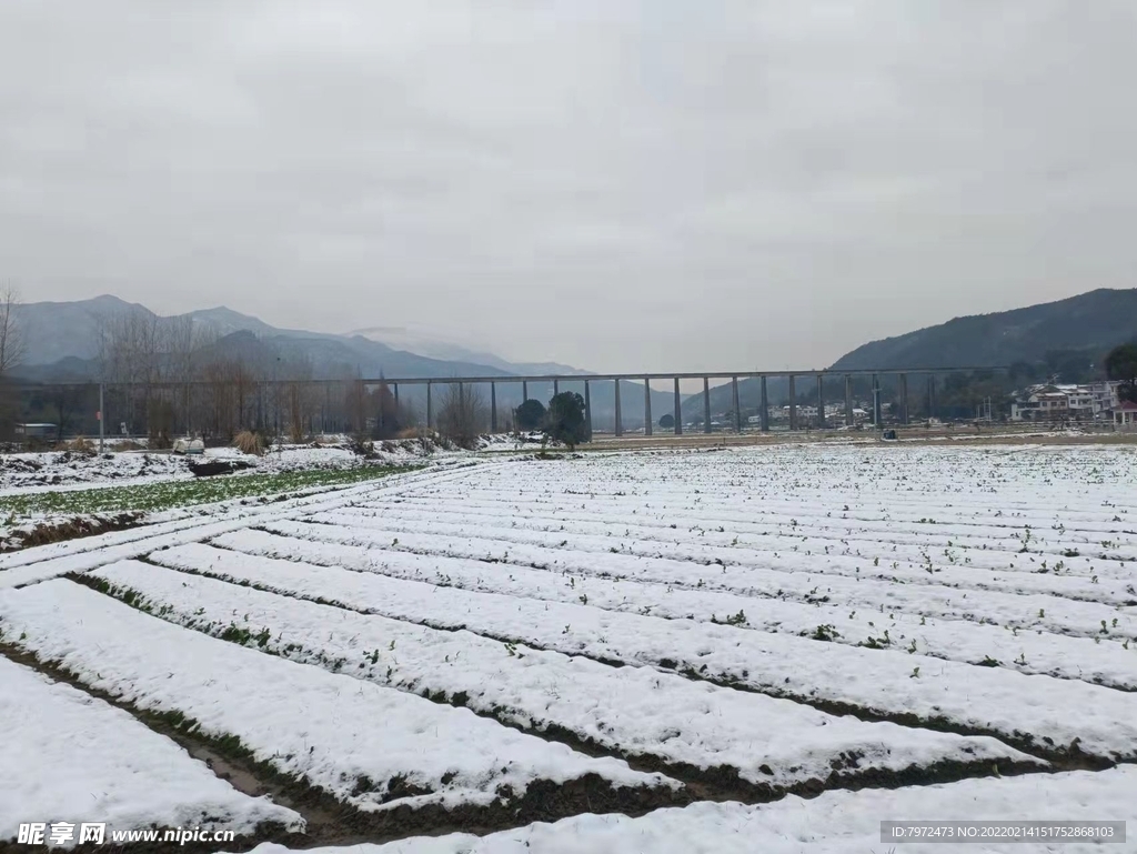 田野雪景